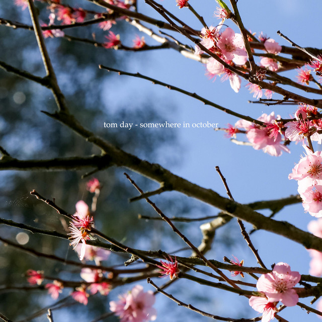 Cover image for playlist