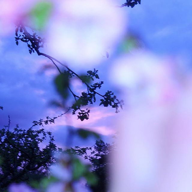 Cover image for playlist