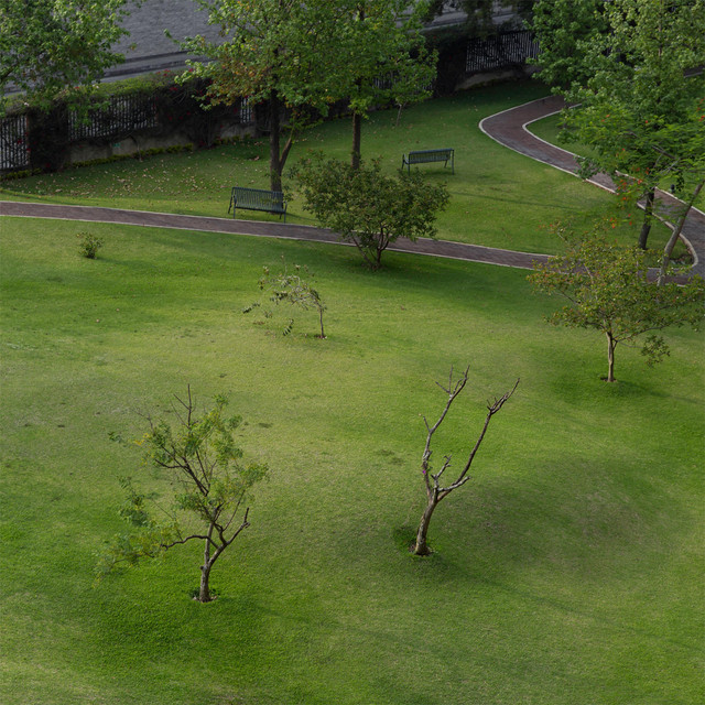 Cover image for playlist