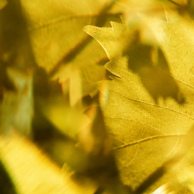 Cover image for playlist